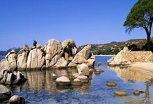 德甲杜塞多夫对阵波鸿，谁能在这场较量中占得先机？